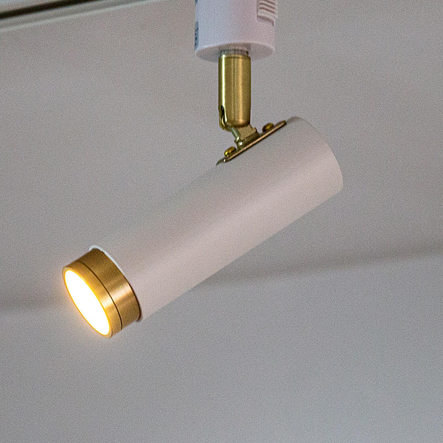LED スポットライト 1灯 ノーシュ リモコンセット シーリングライト ダウンライト おしゃれ 照明器具 インテリア 北欧 カフェ モダン キッチン 調光 調色 アプリ対応 スマートスピーカー対応 