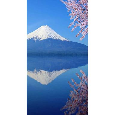 暖簾　富士山
