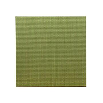 イケヒコ・コーポレーション 置き畳 プラード 70×70cm ライトグリーン 8313709