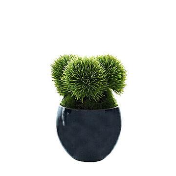 CUPBON 盆栽 マリモ PRGR-1215 小鉢 藍フェイクグリーン