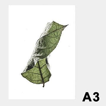 Floating Leaves 04 (大)A3 ポスター 8124